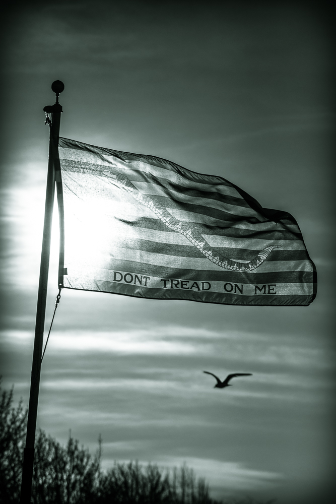 First Navy Jack